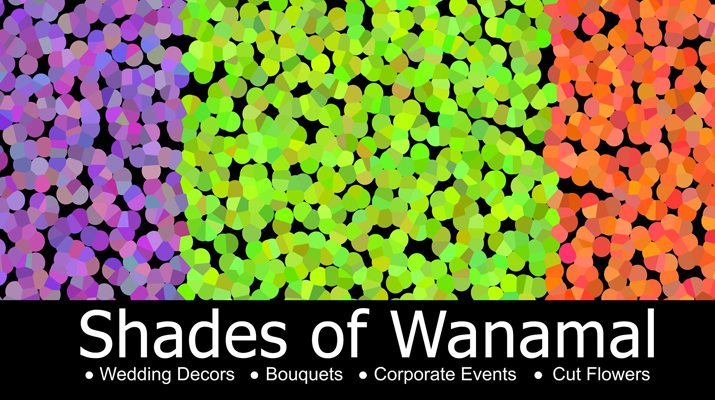 Shades Of Wanamal (Pvt)  Limited